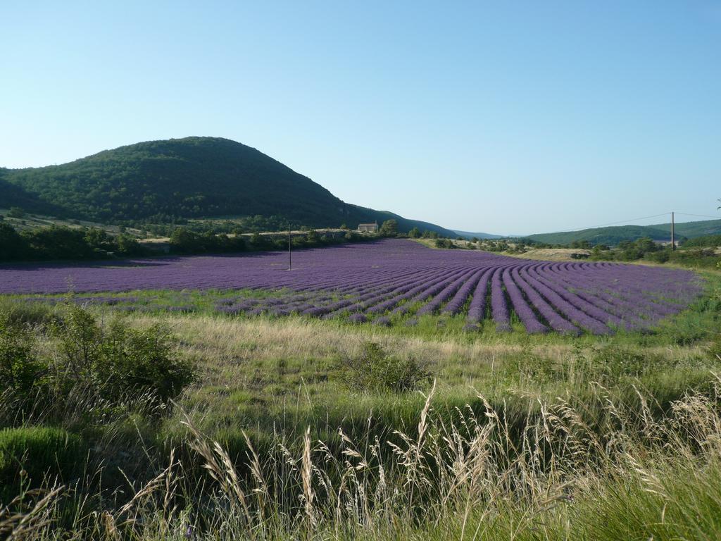 La Grange De La Lavande Lardiers Exteriér fotografie